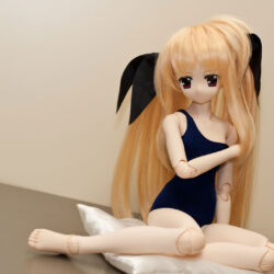 ドールがエロさ強調してる画像って、つい見ちゃうよね[45枚]