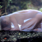 エッチ好きそうな美人さんがブラとか乳首が透けてる画像を今晩のオカズにｗｗ[25枚]